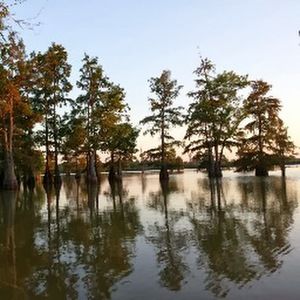 Meet your Posher, Randy